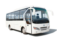 8.1m pure electric road bus