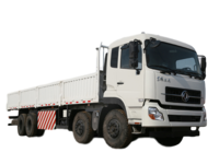 Dongfeng 8X4 CNG cargo truck